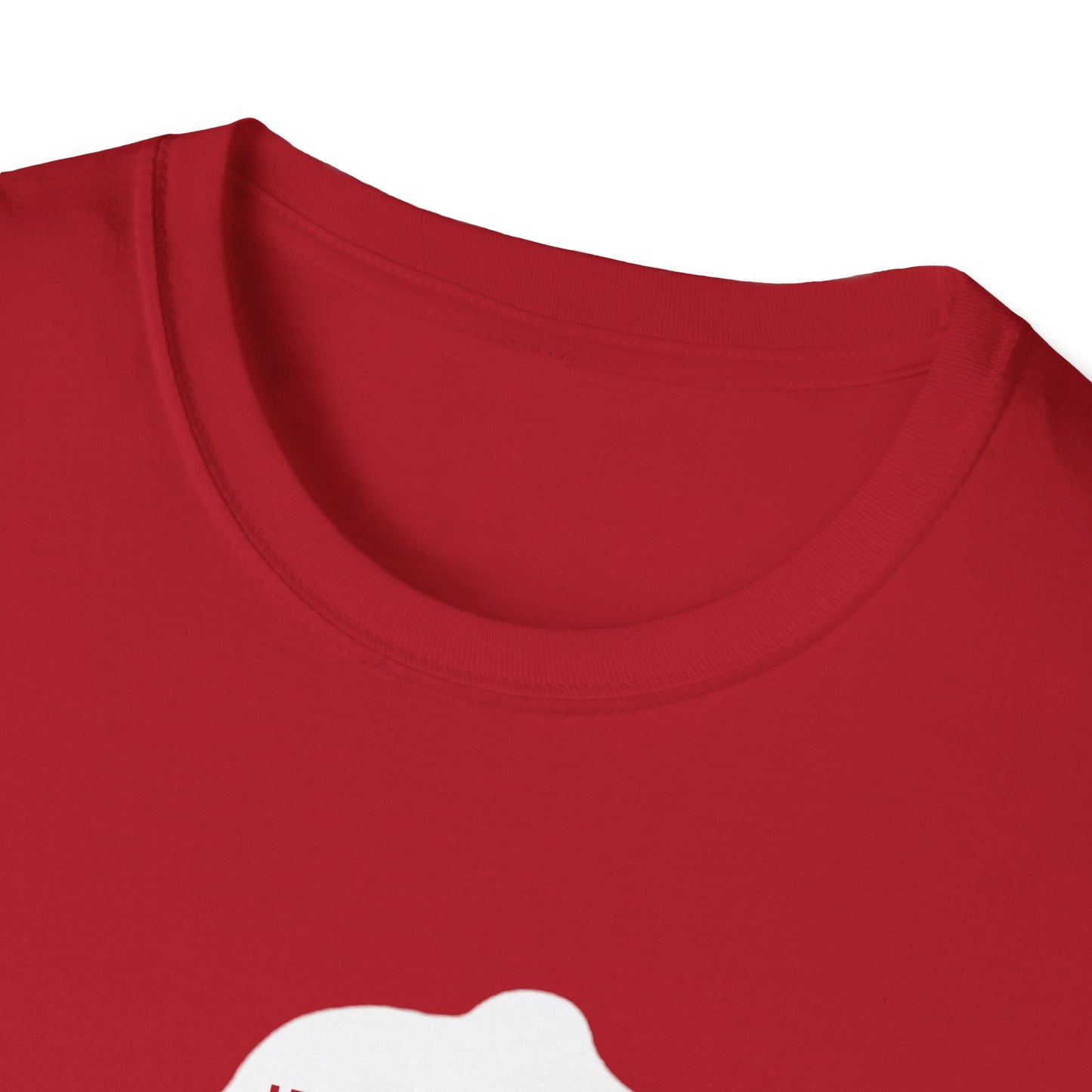 Women Empowering T-Shirt - If They Don’t Give You A Seat Inspiration Tee